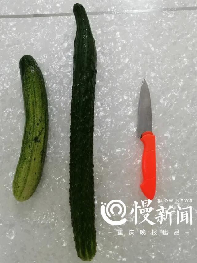 黄瓜视频更新，科技引领视界革新，畅享生活新时代的视觉盛宴