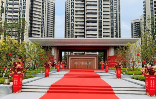 奥园地产最新动态揭秘，小巷中的隐藏宝藏，探索特色小店之旅