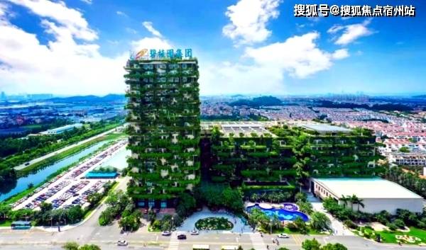 西宁碧桂园最新资讯全掌握，获取指南与动态更新