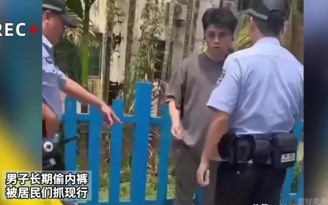 关于偷女人内裤行为的审视与探讨，最新观点与案例分析