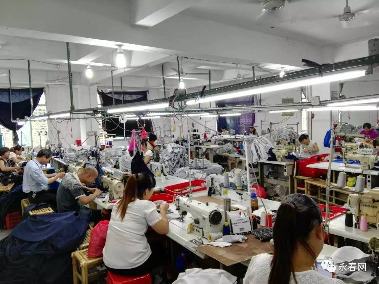 永春最新招工信息大揭秘，不容错过的工厂直招机会！