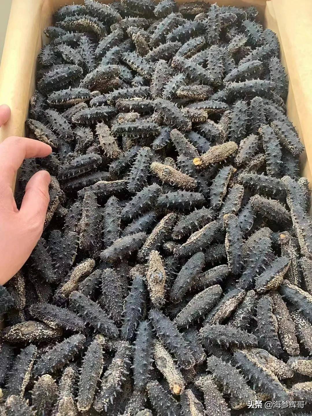 软件开发 第345页