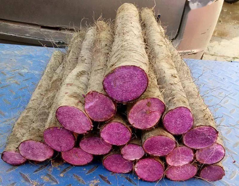 紫山药最新价格及小巷美食秘境探秘