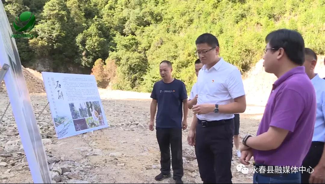 永春最新公路计划，科技重塑交通，智能出行时代畅享便捷出行