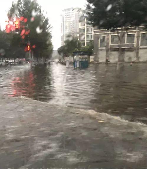 沈阳大雨视频最新，小巷深处独特韵味与暴雨交响曲
