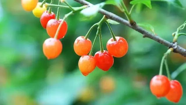 玉溪烟最新包装，创新与传统的完美融合