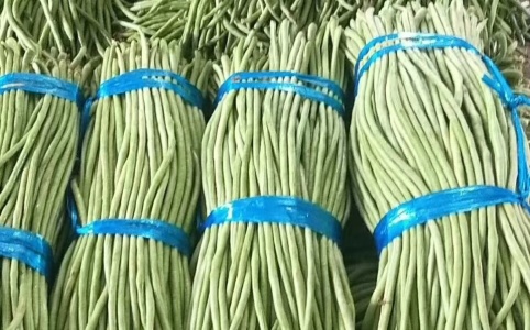 豇豆价格最新行情解析，市场走势与多方观点分析