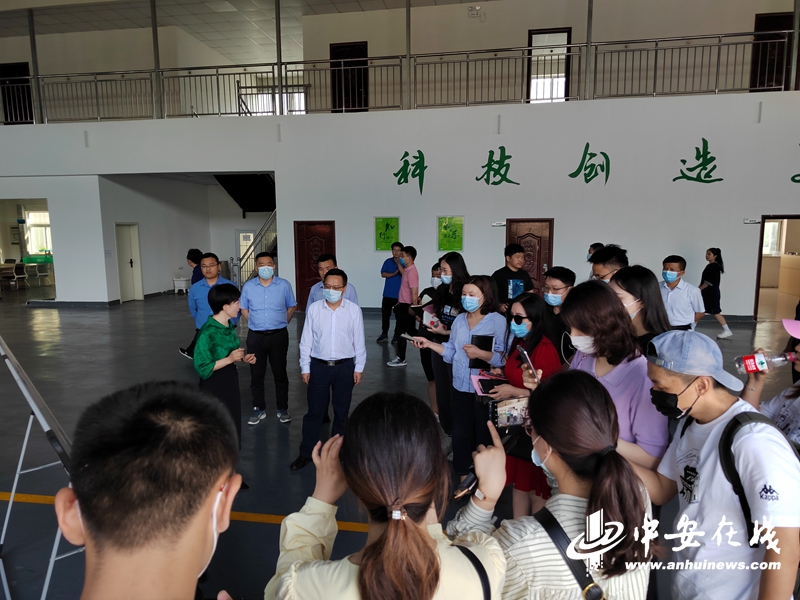 临泉新闻最新报道，观点阐述与分析速递