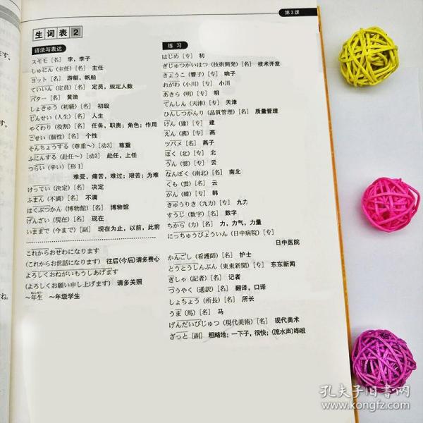 探索日语版小巷宝藏，最新版日语下的隐藏特色小店揭秘