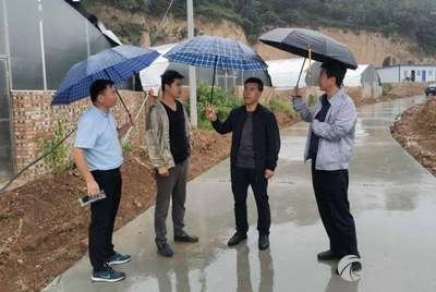泾川科技新品引领未来生活新潮，最新新闻震撼登场