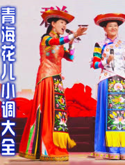 青海花儿最新2024，小巷深处的独特风情