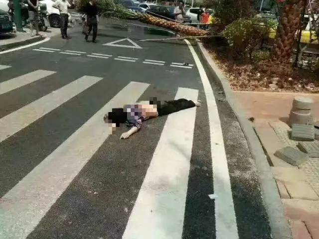 杏林最新车祸事件，悲剧引发的警醒与反思