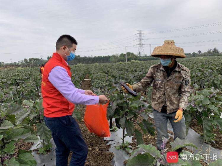 软件开发 第332页