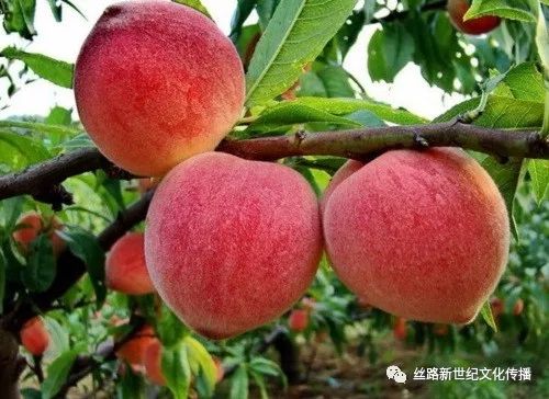 第1343页