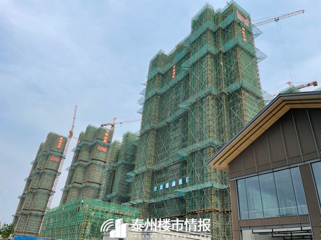 泰州城东最新任务与学习技能详细步骤指南