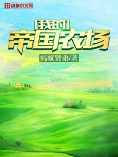 狂澜最新章，探索未知领域与突破性发展