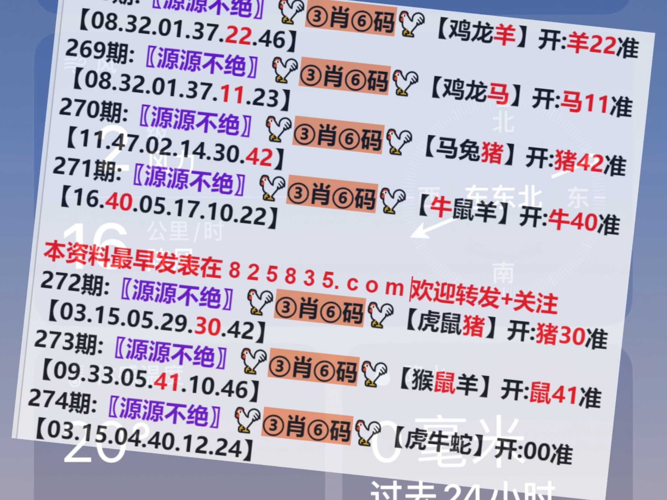 2024澳门天天开好彩大全蛊,策略调整改进_文化传承版35.388