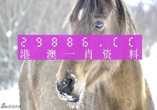 澳门一肖一码100准免费,专业地调查详解_曝光版56.365