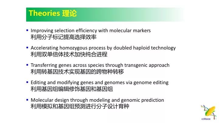 新澳门免费资料大全使用注意事项,理论考证解析_智能版45.985