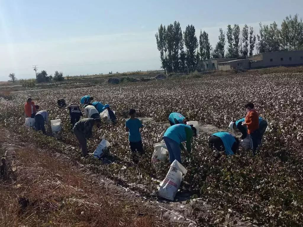 三肖必中特三肖必中,动态解读分析_桌面款7.919