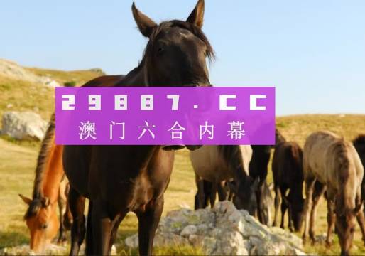 澳门管家婆一肖一码一中一,专业地调查详解_天然版46.147