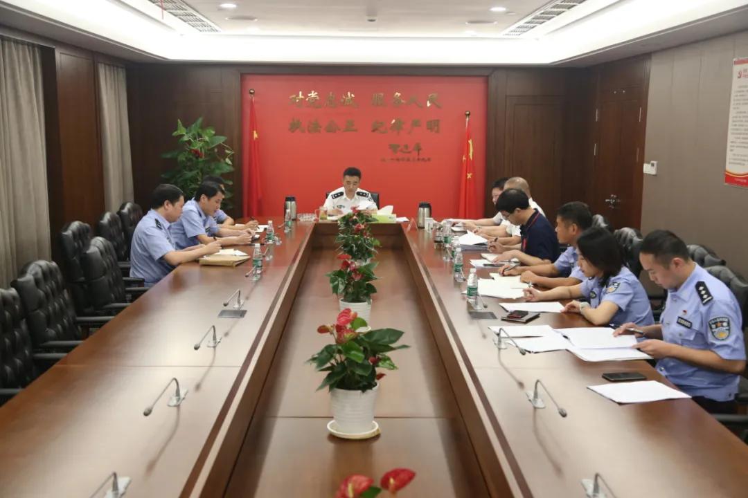 海鸥最新疫情动态，希望与力量的展翅翱翔