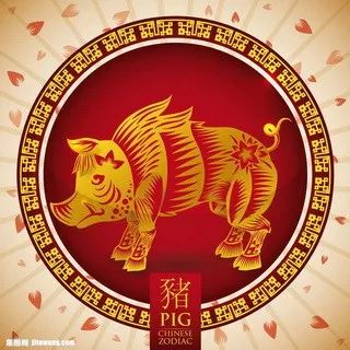 摇钱树四肖八码期期三码必中,数据指导策略规划_迅捷版53.736