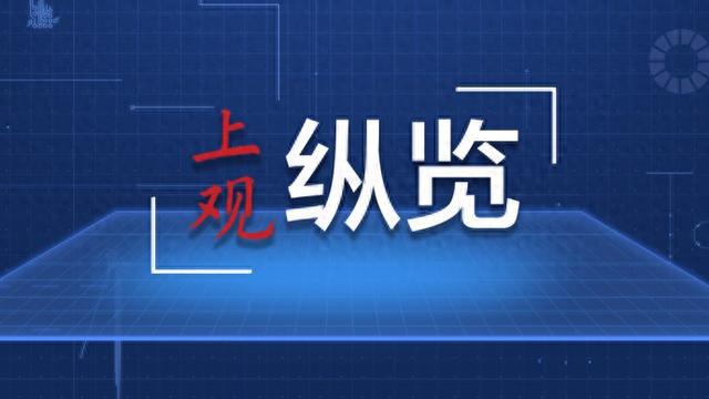 新澳精准资料免费提供265期,高效执行方案_艺术版81.837