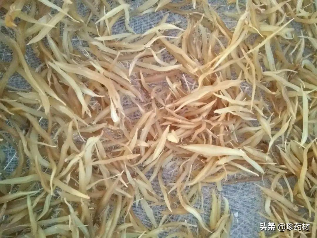 基础电信业务 第144页
