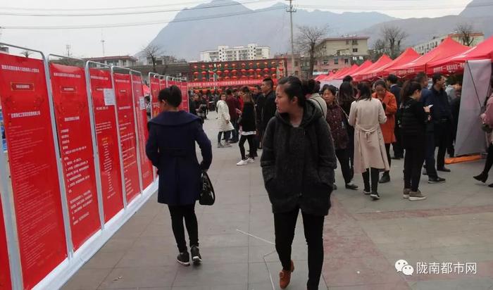 陇南市武都区最新招聘信息揭秘，小巷惊喜与特色小店的秘密招聘启事