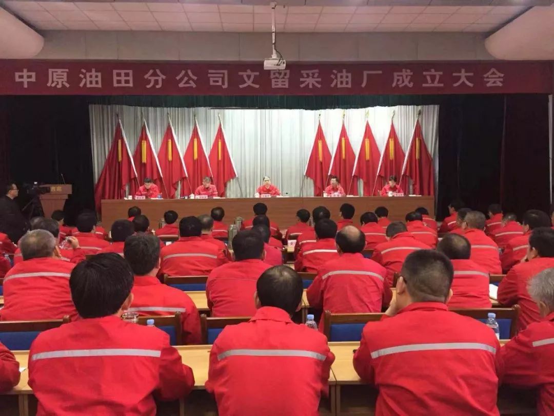 中原油田改革动态详解，步骤指南与技能学习全攻略