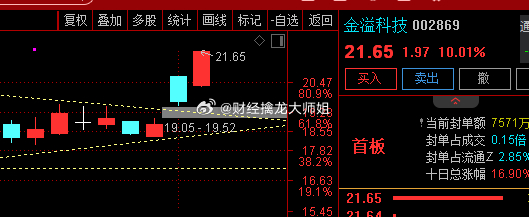002869金溢科技股票投资全解析，初学者与进阶用户的投资指南