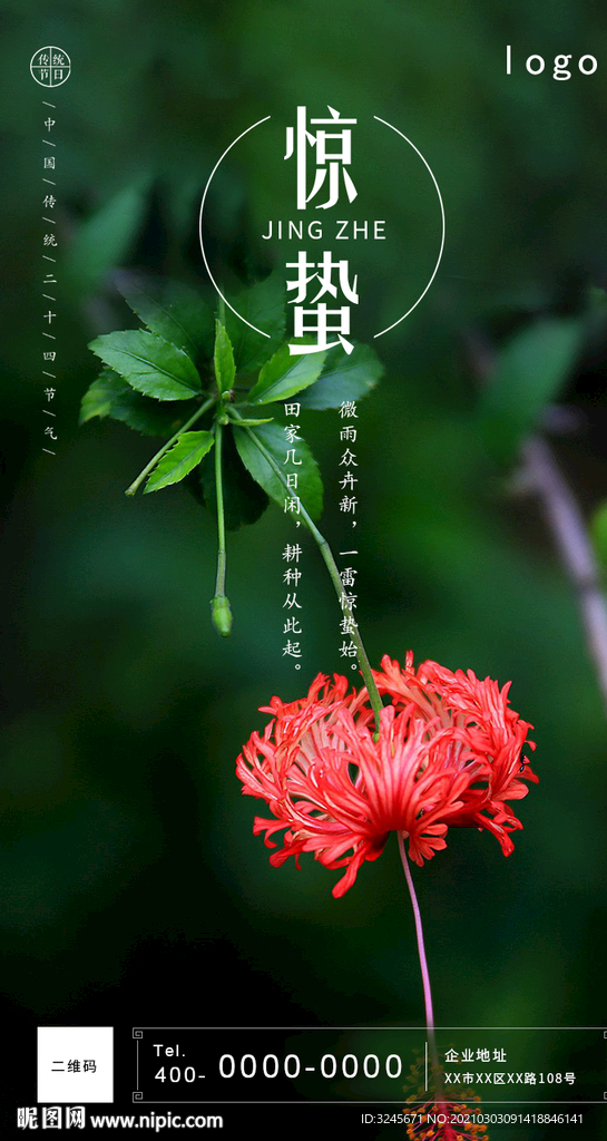 精选惊蛰图片分享——最新惊蛰图片精选指南