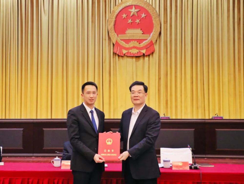 椒江区委人事任免动态概览，最新人事任免动态及指南