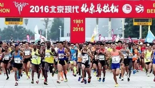 北京马拉松比赛时间，温情纽带在奔跑中绽放