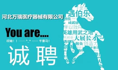徐水最新招聘信息汇总