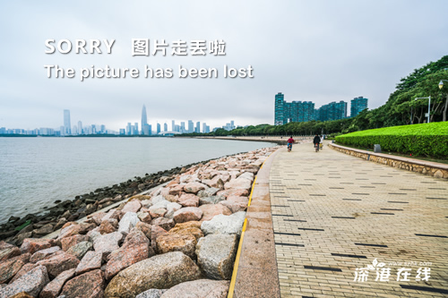 明星手机号码，隐秘与公众之间的纠葛