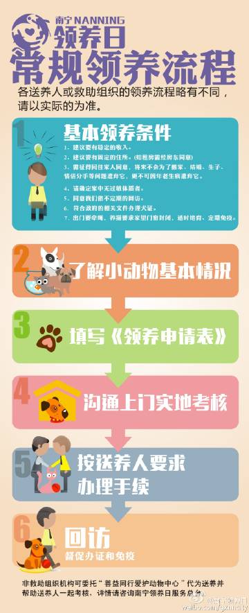 最新领养指南，探寻特色小店，开启领养之旅！