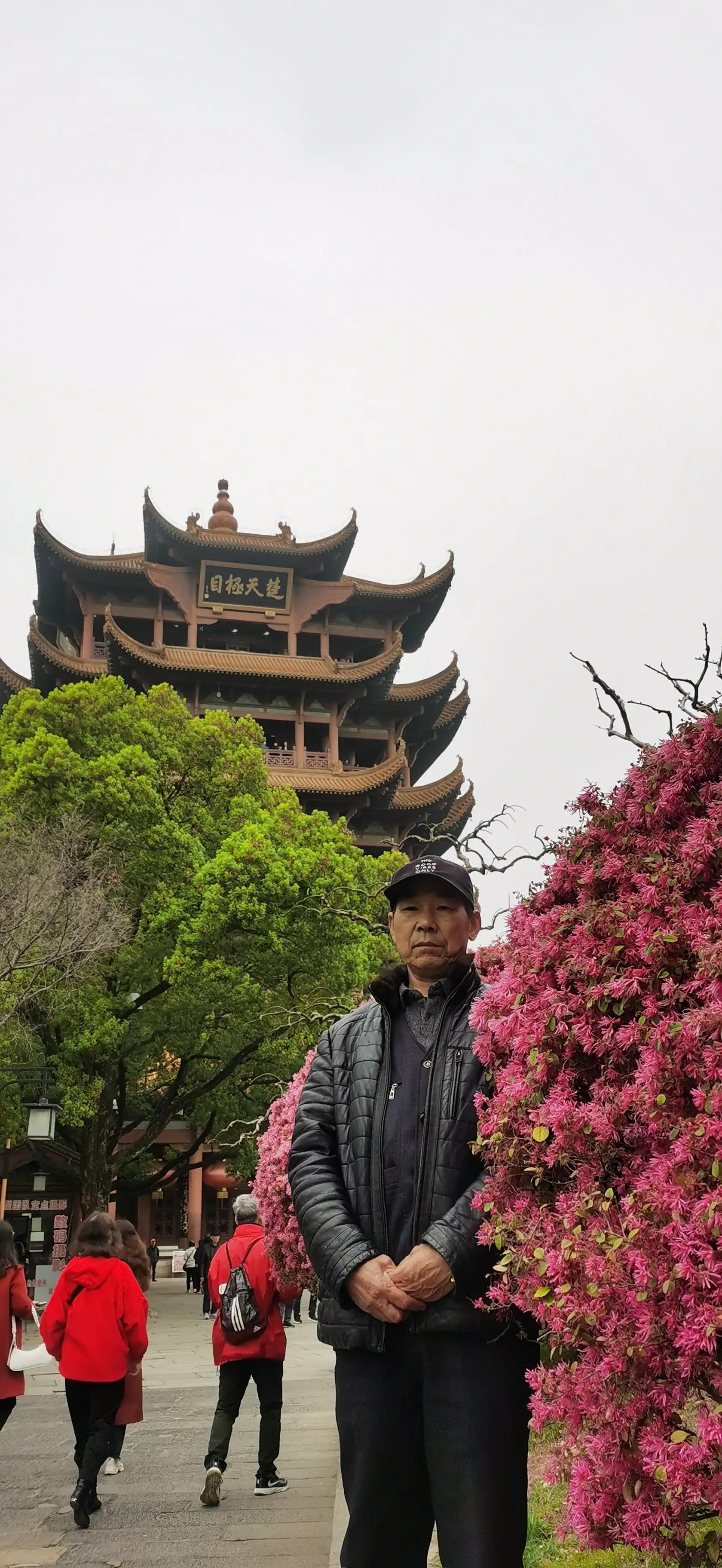 一路向东电影，友情之旅与爱的温馨日常之旅