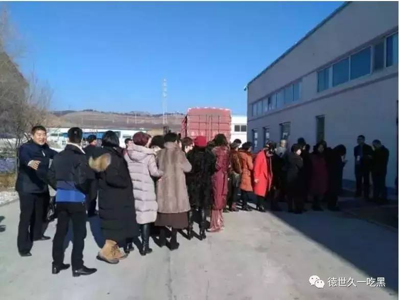 北京德世久最新动态及观点深度论述