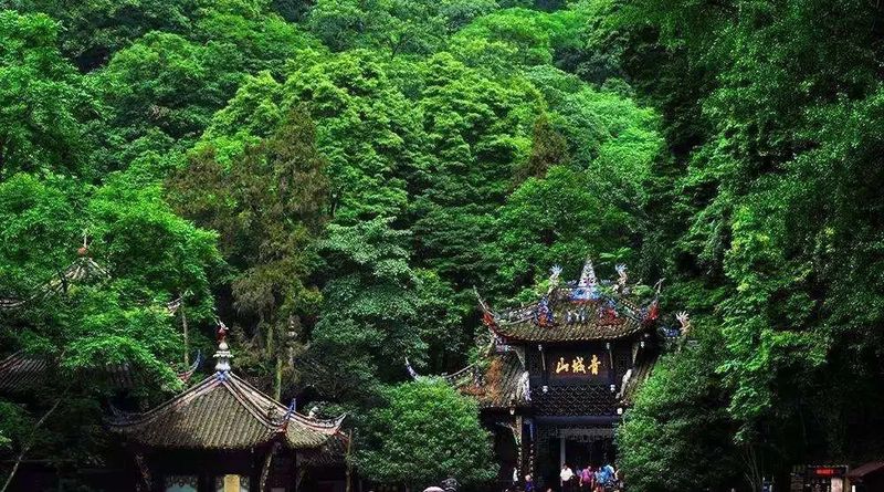 青城山资讯，攀登知识高峰，成就自信旅程