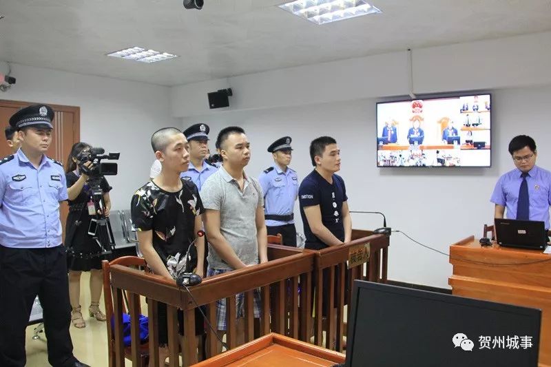 象州贾朝强案最新进展，自然之旅鼓舞人心，内心平静之道显现