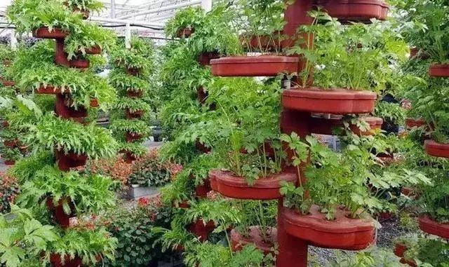 张家界大坪镇最新发展规划概览
