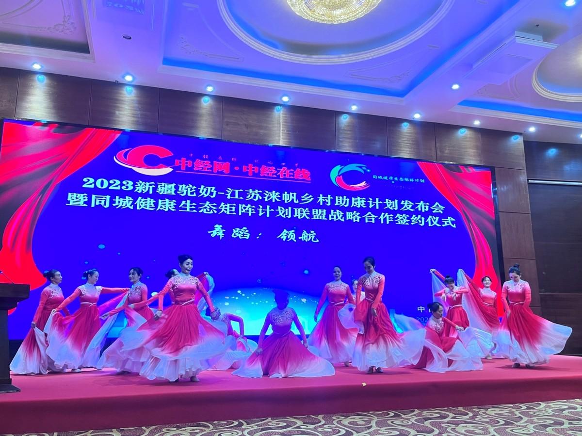 新疆驼奶价格，科技融合传统，奢华品味之选