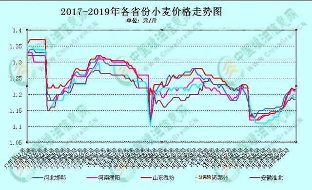 邢台小麦最新行情，时代印记与市场动态的价格解读