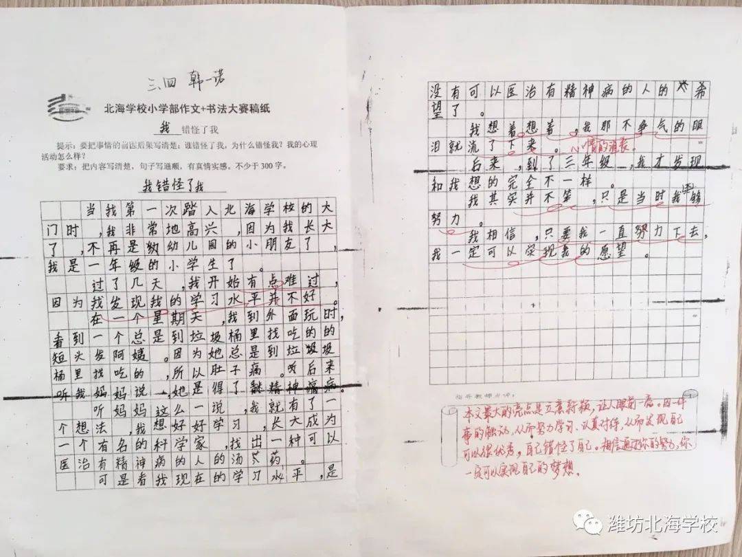 三年级拨河比赛的心灵之旅，自然美景下的竞技激情