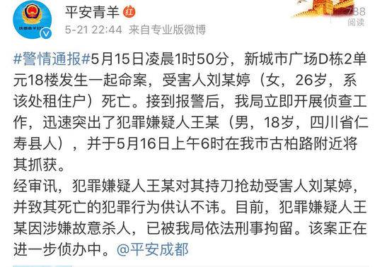 罗平警方最新杀人案通报，深度分析与观点阐述