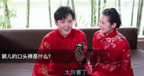 付辛博颖儿，爱情与事业双赢的最新动态揭秘