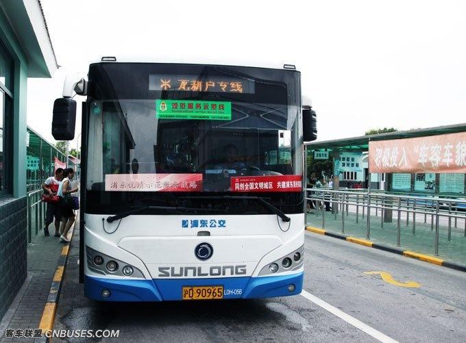 龙新芦专线时刻表，全面解析与实用指南