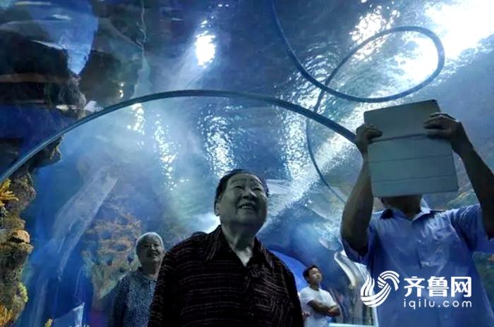 聊城海底世界探索之旅，未知的魅力与海洋共舞